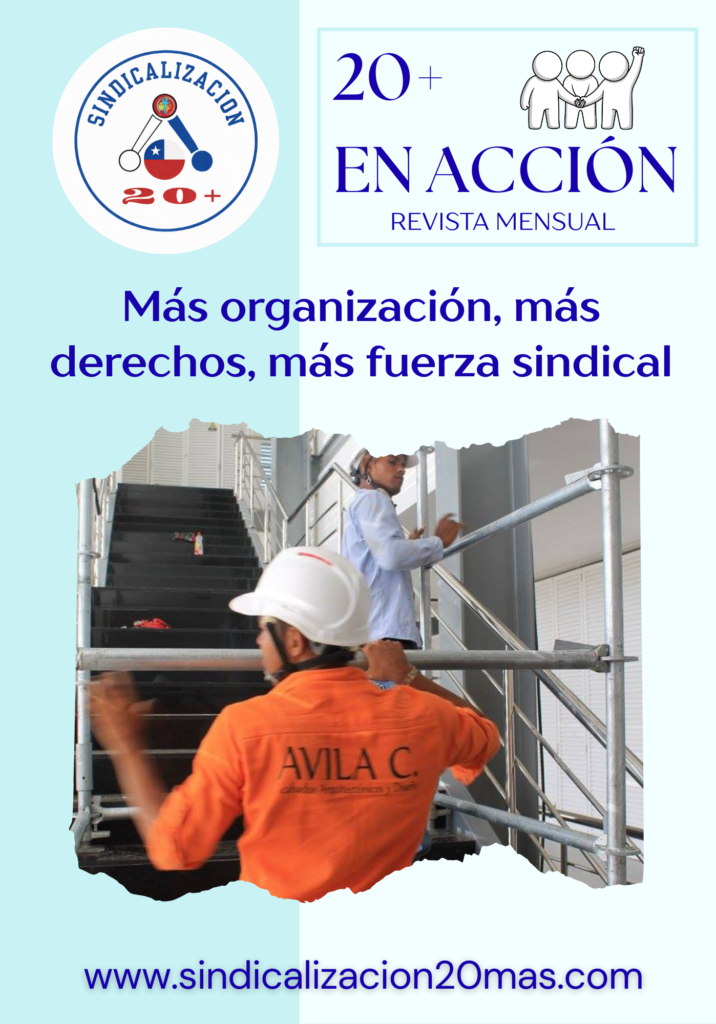 revista 20+ en accion n°1 (1)